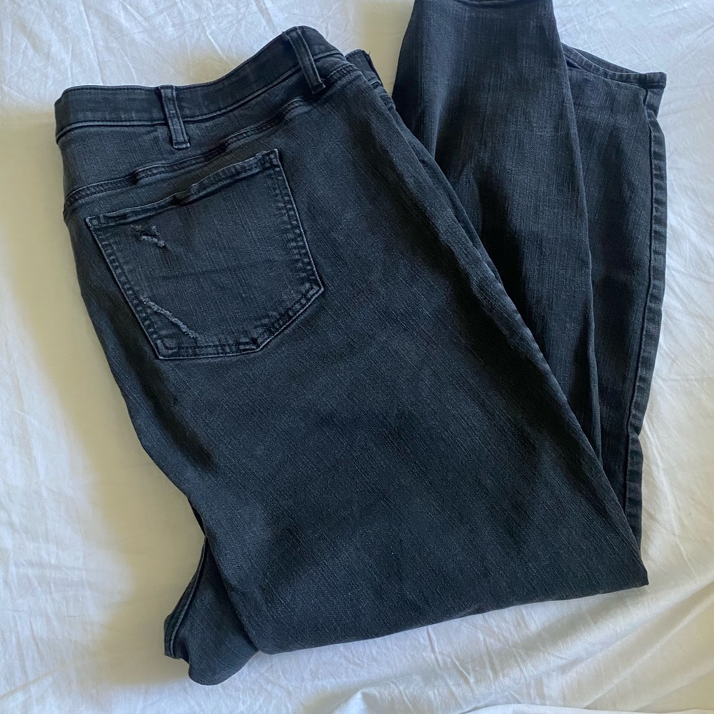 Torrid Premium Jeans